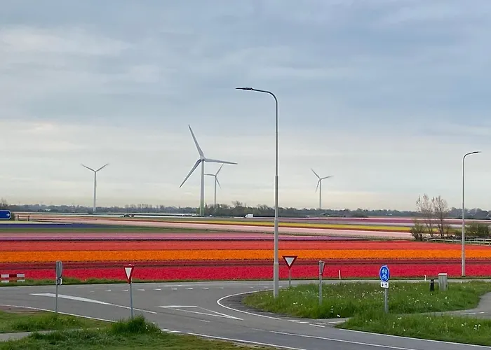 Zijperweg Vakantiehuis Vlakbij Zee, Strand En Bos