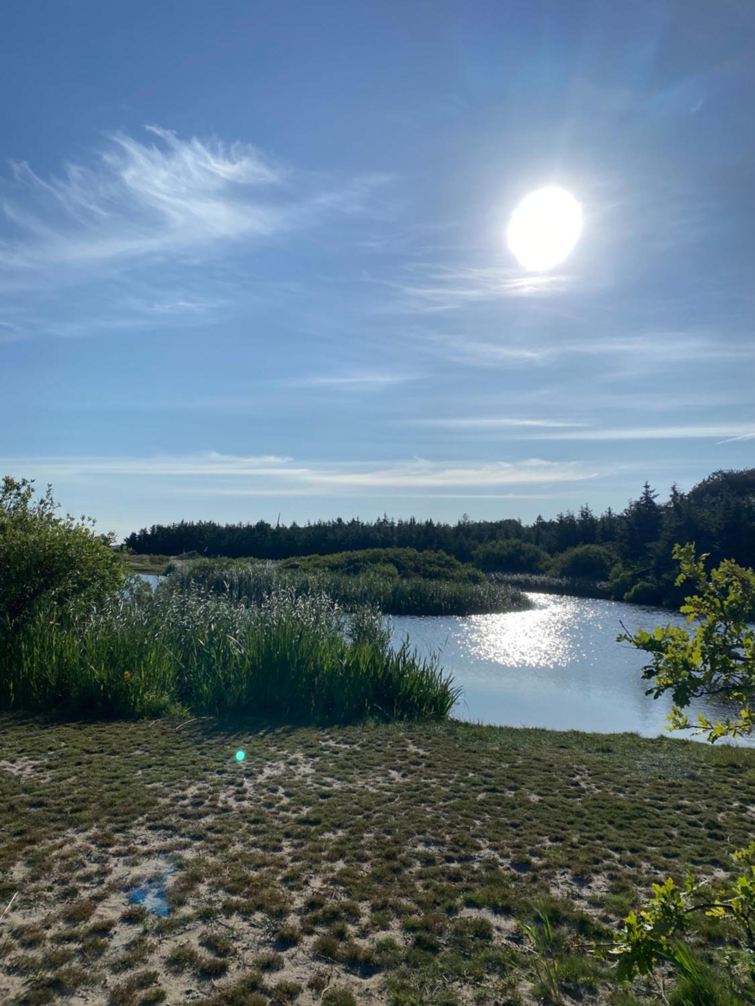 Zijperweg Vlakbij Zee, En Bos * Petten