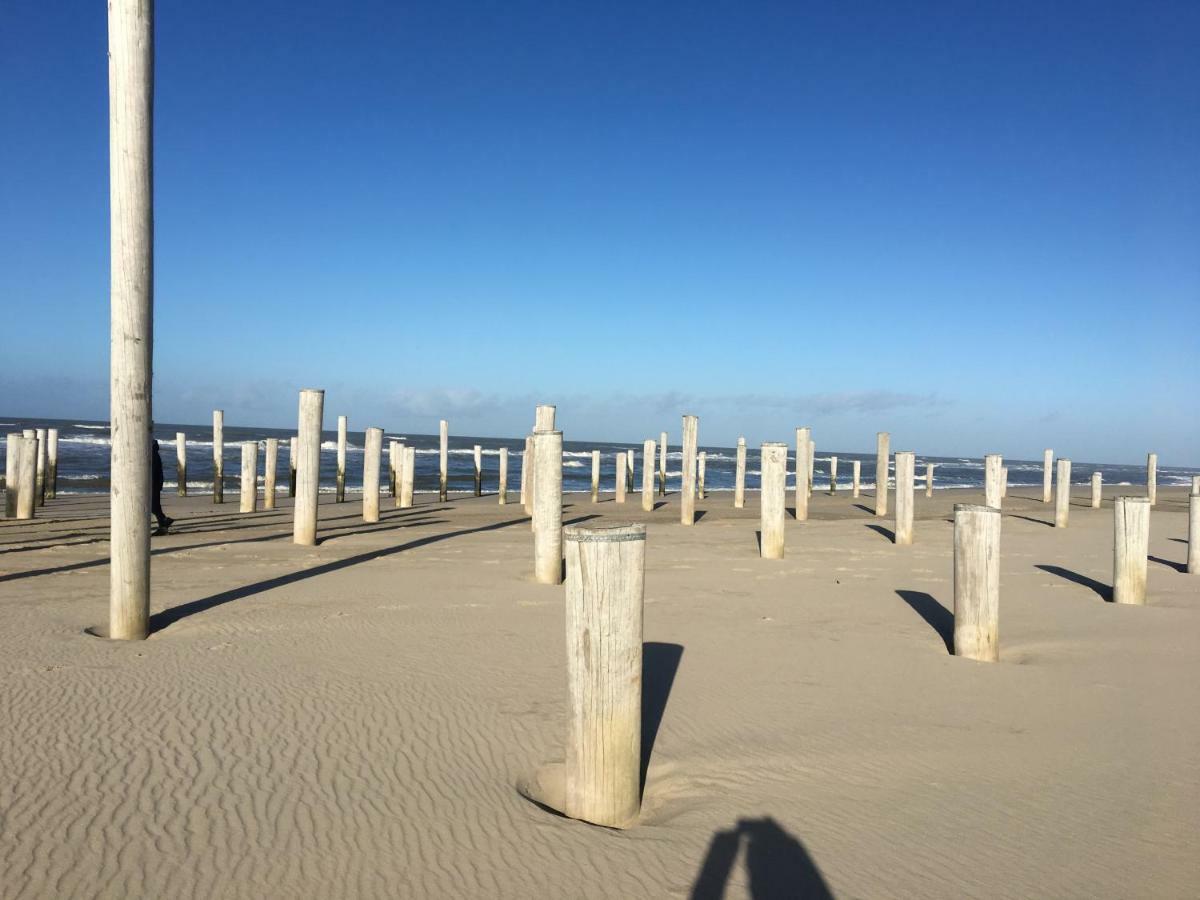 Zijperweg Vlakbij Zee, En Bos * Petten